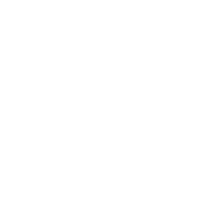 Smartphones & Handsets