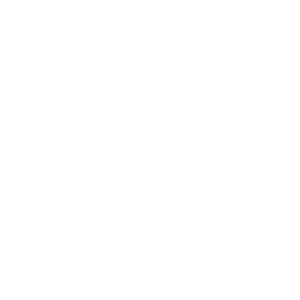 Software-Driven Optimization